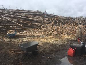 Firewood (Knik Fairview Loop)