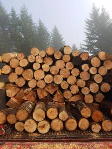 Firewood fir with some hardwood mix (Eugene)