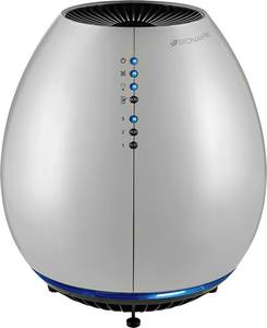 Bionaire - Egg Air Purifier - Silver (Carroll Gardens, BK)