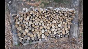 Firewood. Seasoned and green (Norman)
