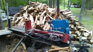 Seasoned Ash firewood (merrifeild)