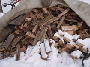Firewood Popple (merrifeild)