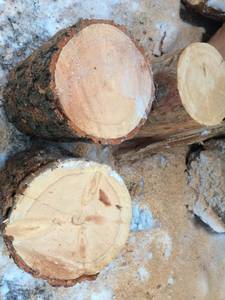 FIREWOOD fir/larch ROUNDS (WHITEFISH)