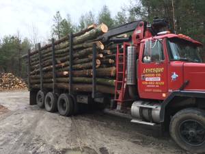 Grapple Load Firewood (Andover, MA)