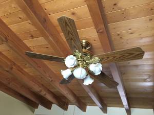2 Ceiling Fans for price of one (Las Cruces)