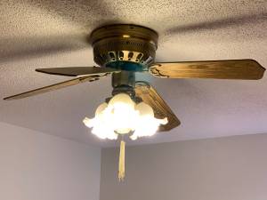 Ceiling Fan (Oakdale)