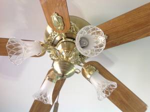 Ceiling Fan (Essex)
