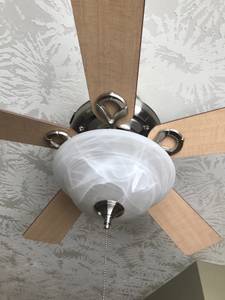 Ceiling Fan with Light for sale (Missoula)