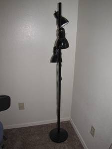 Black Floor Lamp (4357 E. Winchester Rd.)