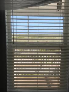 Window blinds (Sugarloaf Key)