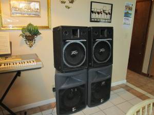peavy speakers (springdale)