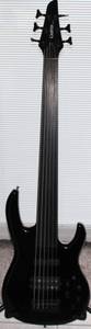 Carvin LB76F 6-String Fretless Bass (Stanwood)