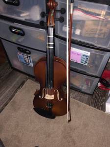 Viola