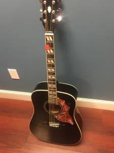 Ebony Hummingbird very good condition one year old (Chattanooga)
