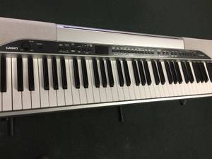 Casio Privia PX-310 (Lexington, SC)