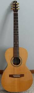 Seagull Grand ARTIST series all solid Parlor Guitar, with pup and hsc (Florence)