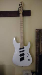 Legator Opus S multiscale- 6 string (Priest River)