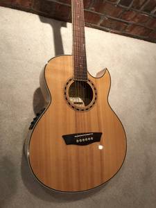 Washburn acoustic electric guitar and bag (Delafield)