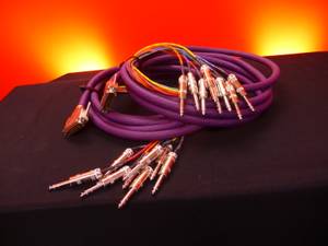 DB25 to TRS 10 Ft Switchcraft (Seattle South)