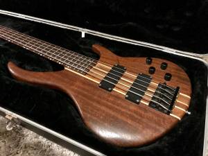 Peavey 5-String Bass (Round Rock)