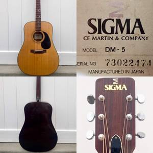 Sigma DM-5 Acoustic Guitar (Provo)