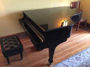 Steinway B Grand Piano 1995 - Meticulously Cared For (Upper West Side)