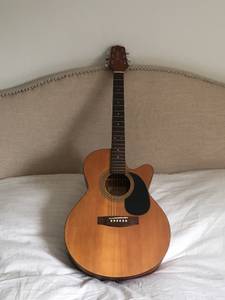 Jasmine by Takamine Acoustic Guitar w/ Bag (East Village)