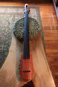 NS Design CR5 5-String Electric Cello (Greenville, SC)