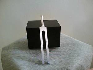 Kitching Tuning Fork (Loves Park, IL)