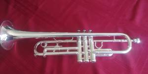 Professional Trumpet (Brookfield)