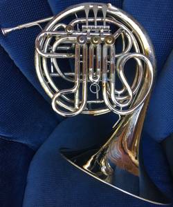 Professional double French horn Conn 8D (USA) with Pro-Tec zipper case (McLean