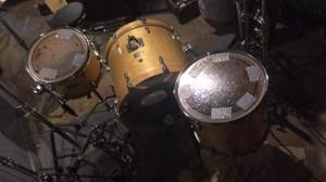 Yamaha stage custom drum kit (Abington)