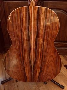 Giannini Brazilian Rosewood Classical Guitar (Winston-Salem)