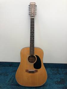 Ventura 12 String Guitar (Eden Prairie)