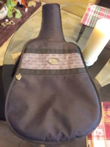 Fender Guitar Case (new soft side) (Reynoldsburg)