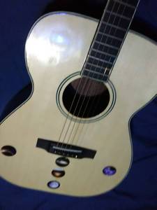 Custom made Cabot Gayle solid wood acoustic guitar (Houghton area)