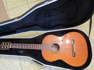 Vintage Estudio classical guitar-TKL hard case (westland)