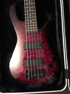 5 string Spector bass (New Hudson)