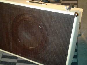 FS: Custom 1X15 Tone Ring Guitar Cabinet (Jacksonville Beach)