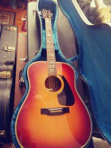 Gorgeous Japanese Tree of Life acoustic guitar (South Como StPaul)