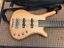Warwick Rock Bass (tucson)