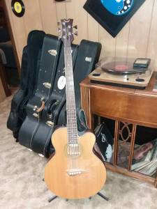 Acoustic/Electric 5 string bass (Easton)