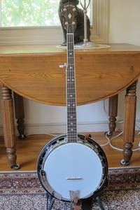 Gold Tone BG250F banjo (Needham)