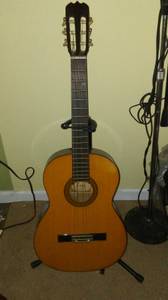 Acoustic Guitar (Hartwick)