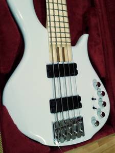Italian Custom made 5 string bass & case