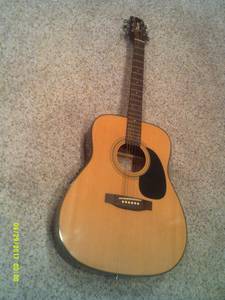 New, never used Takamine acoustic/electric guitar and accessories (Eldora)