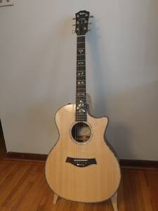 Taylor 914ce acoustic guitar (Cities)