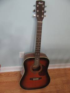 CORT Dreadnought Steel 6 String Guitar With Case & Extras (Joppa)