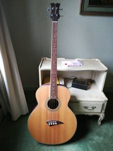 Acoustic Bass Guitar - Electric (Jeffersonville IN.)