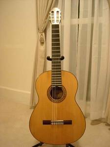 Larivee Classical Guitar (Wasco, OR)